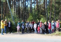 Активисты отчистили от мусора берег Финского залива в Приморске.