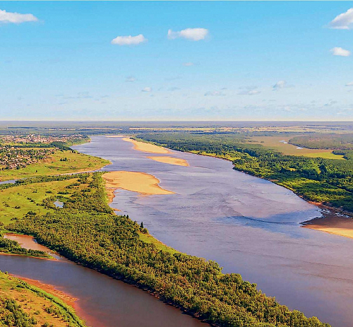 Под знаком рыбы