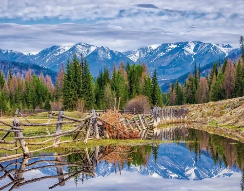 Страна Транснефть