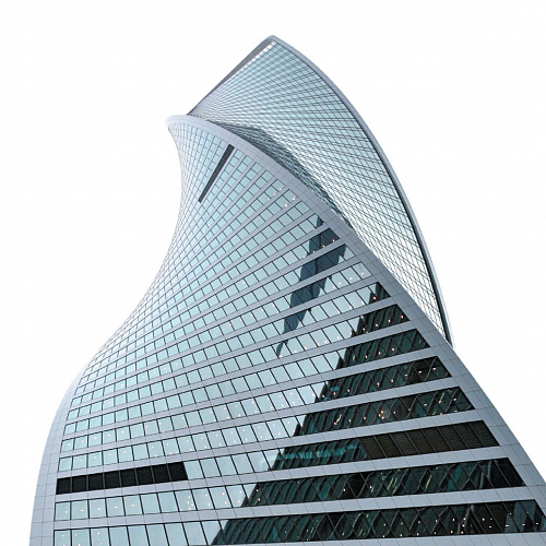 «Эволюция»: форма и содержание