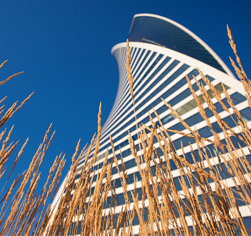 Столичная красавица