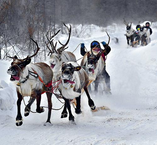 Мы поедем, мы помчимся