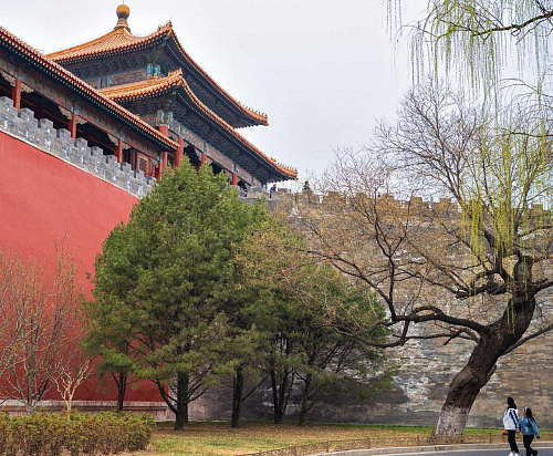 Весна в Поднебесной