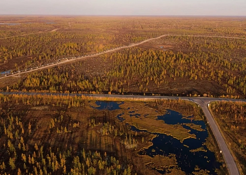 Ямал. Заполярная осень