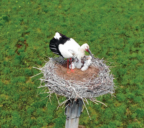 Сохранить и приумножить