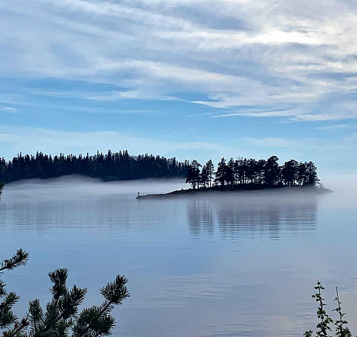 Видеть прекрасное