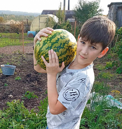 Мальчик с арбузами