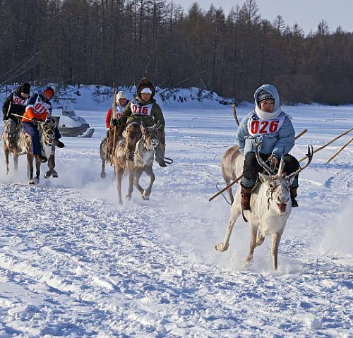 С оленями с детства